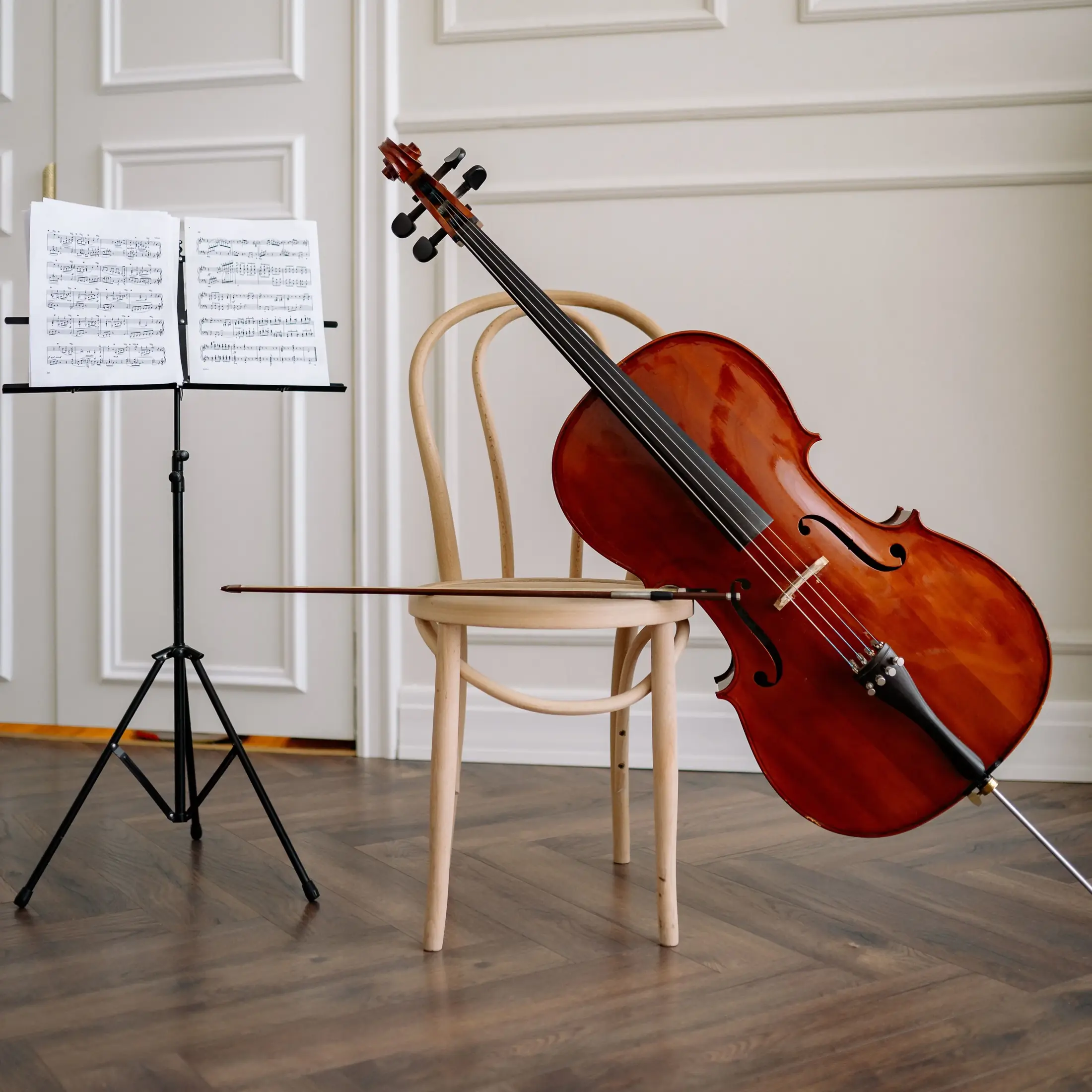 Estudante de cello